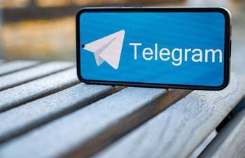 Дуров заверил французских следователей в улучшении модерации Telegram.